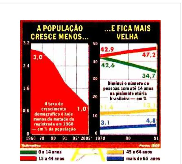 FIGURA 1.1 - Perfil demográfico da população brasileira 