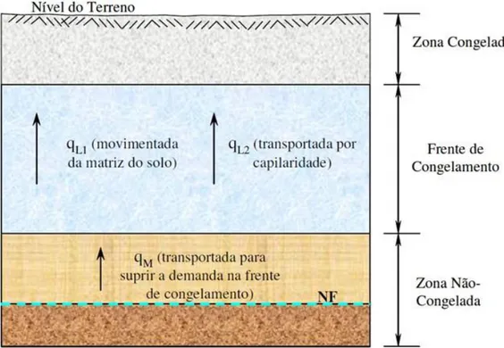 Figura 2.8 - Vazões de movimentação da água para uma seção de solo congelada no topo (Jones, 1995,  citado por Hernandez, 2007)
