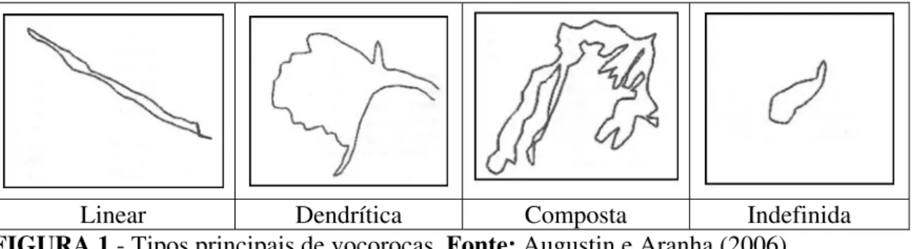 FIGURA 1 - Tipos principais de voçorocas. Fonte: Augustin e Aranha (2006) 
