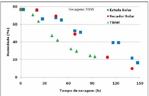 Figura 5: Evolução da percentagem de humidade ao longo das secagens  realizadas no ano de 2008