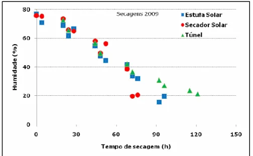 Figura 8: Evolução da percentagem de humidade ao longo das secagens  realizadas no ano de 2009