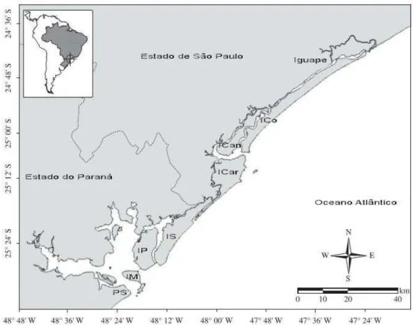 Figura 2: Estuário do Lagamar iniciando-se em Iguape (24 o 45’S), Estado de São Paulo, até o  Pontal Sul (25 o 30’S), Estado do Paraná