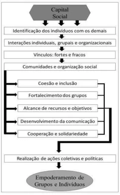 Figura 1  – Formação de redes sociais e possibilidades de ações 