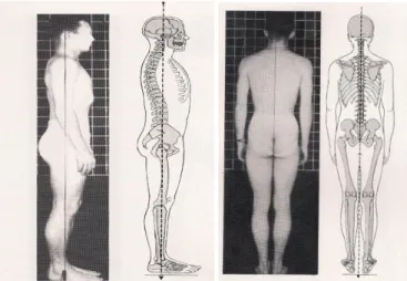 Figura 1: Postura ideal em vista lateral (esquerda) e vista posterior (direita) (adaptado de Kendall  et al., 1995: pp