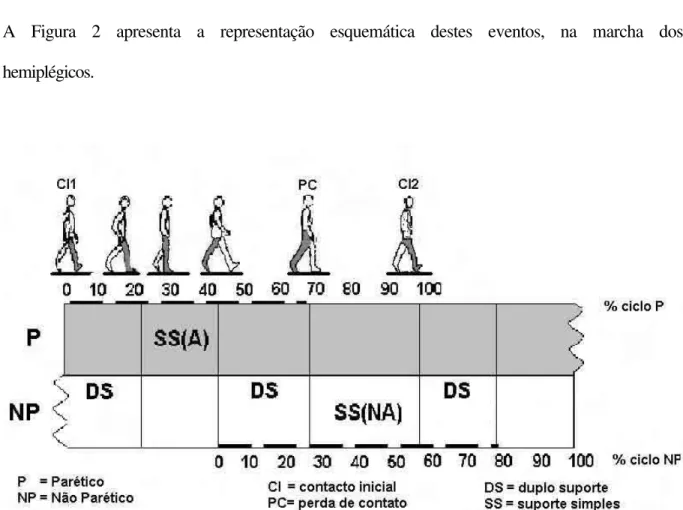 Figura 2. Proporção dos eventos temporais adaptados no andar hemiplégico. 