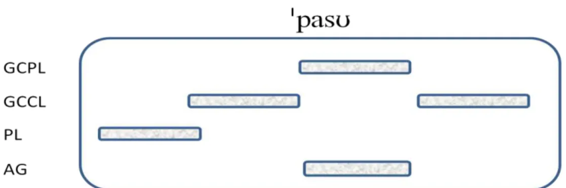 Figura 16  – Pauta gestual simplificada para a produção da palavra ‘passo’ sem sobreposição gestual 
