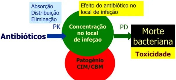 Figura 5 – Relação entre as características farmacocinéticas (PK) e farmacodinâmicas  (PD)