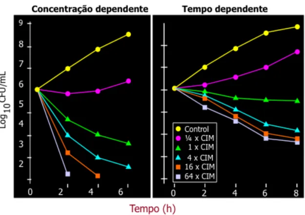 Figura  8  –  Variabilidade  do  comportamento  bactericida  contra  colónias  de  Pseudomonas  aeruginosa