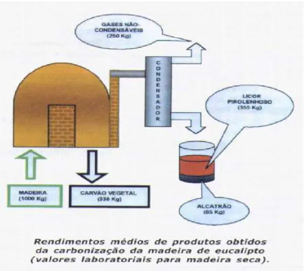 Figura  3.2  -  Modelo  esquemático  da  produção  de  carvão  vegetal  a  partir  da  carbonização da madeira em fornos de alvenaria