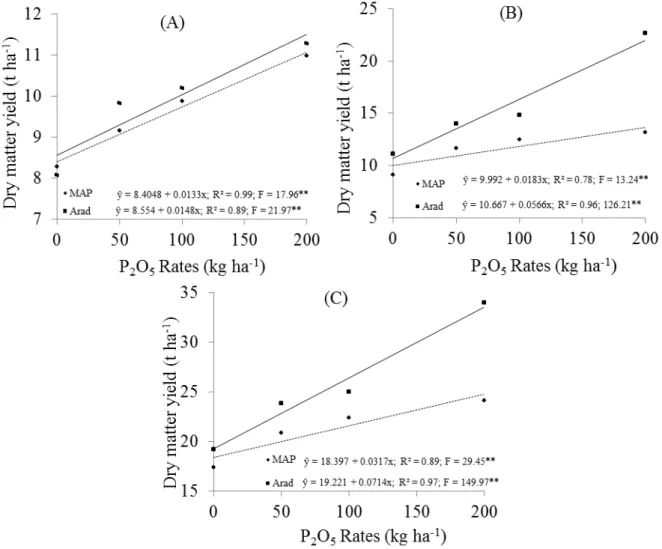 Figure 2. Variations in dry matter yield of harvest from 2003/2004 (A), 2004/2005 (B) and accumulated two  year yield  (C) of andropogon grass with different P sources and rates of application in Experiment  2, Gurupi County – TO, **,* significant at 1 and