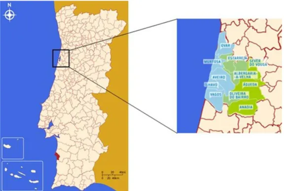 Figura 15: Divisão administrativa de Portugal continental com destaque da Região de Aveiro a direita; Fonte: 