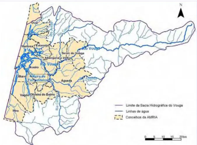Figura 19: Imagem dos rios Vouga, rio Caima e seus afluentes; Fonte: (Amria, 1993) 