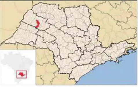 Figura 1. Localização geográfica do município de Guararapes no estado de São Paulo, 2013