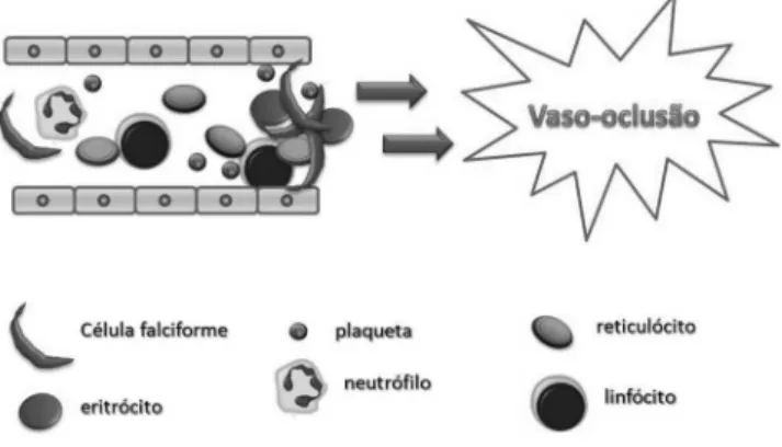 Figura 3. Estruturas químicas de algumas moléculas indutoras da síntese  de hemoglobina fetal