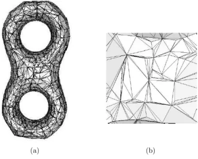 Figure 1.2: a) Reconstructed surface from a points cloud, b) zoom of a small part of the surface, [Goi04]