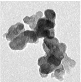 FIGURA 2.4 – Ilustração das partículas de negro de fumo aglomerados (extraída  da apresentação no XIV ENBAT – empresa Cabot)