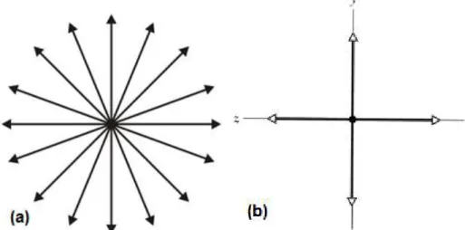 Figura 2.1 Representação da luz não polarizada (a) luz não polarizada com o  campo  elétrico  mudando  aleatoriamente  e  (b)  representação  matemática  da  sobreposição  de  dois  estados  ortogonais  e  com  iguais amplitudes[4]