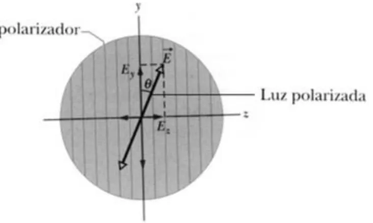 Figura 2.3 Luz polarizada incidindo em um polarizador, e a decomposição das  suas componentes do campo elétrico [4]