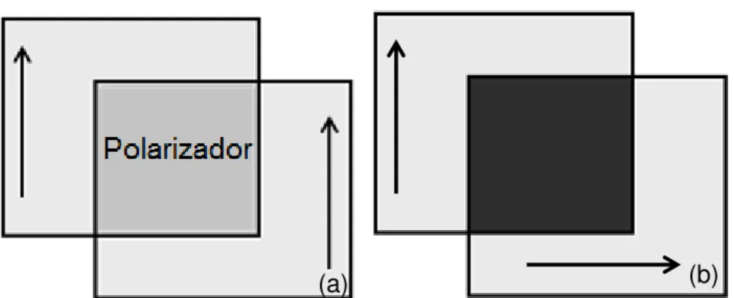 Figura  2.4  Luz  incidindo  em  polarizador  e  um  analisador  dispostos  em  diferentes ângulos (a) ângulo de 0º (b) ângulo de 90º