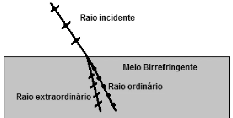Figura 2.6 Interação da luz em um meio birrefringente. 