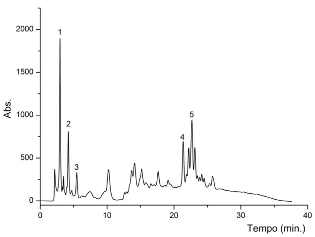 Tabela  4.  4  Coeficiente  de  variação  entre  cromatogramas  de  mesmo  extrato  de  B.forficata.(Precisão de Injeção) 