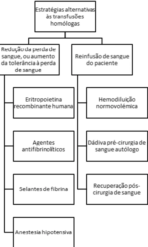 Figura 5 – Estratégias alternativas à transfusão de sangue homólogo.