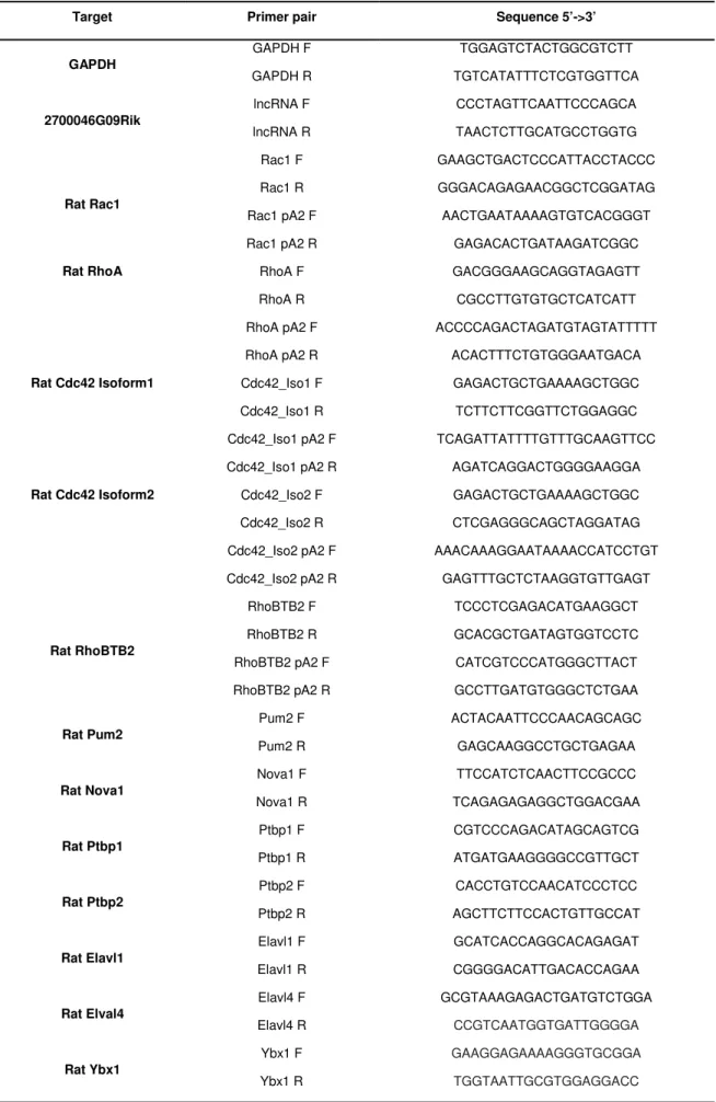 Table 3. Sequences of primers used in RT-qPCR.