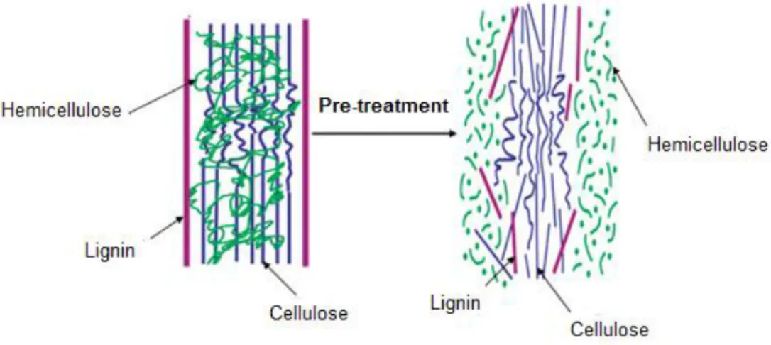 Figure 11 - Schematic of the role of pre-treatment. 71