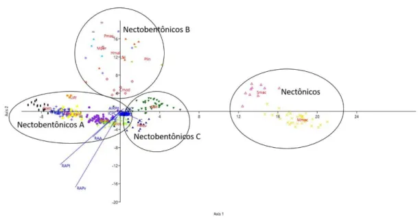 Figura  8  -  Representação  gráfica  da  Análise  de  Discriminantes  aplicada  aos  26  índices  ecomorfológicos das espécies pertencentes à Estação Ecológica de Jataí, SP, mostrando a formação de  três subgrupos, nectobentônicos A, B e C
