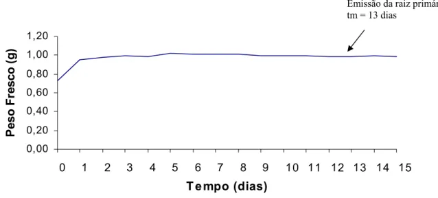 Figura 4 - Curva de embebição/absorção de água pelas sementes de Aegiphyla sellowiana  com base no peso fresco (g)