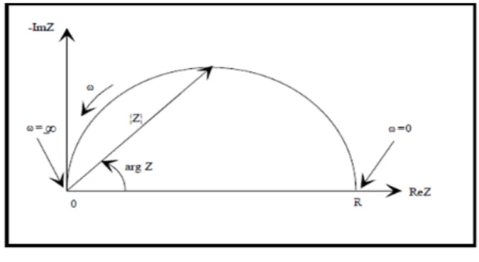Figura 4.5: Diagrama Nyquist, no eixo x a impedˆancia real e no eixo y a impedˆancia imagin´aria com vetor impedˆancia [44].