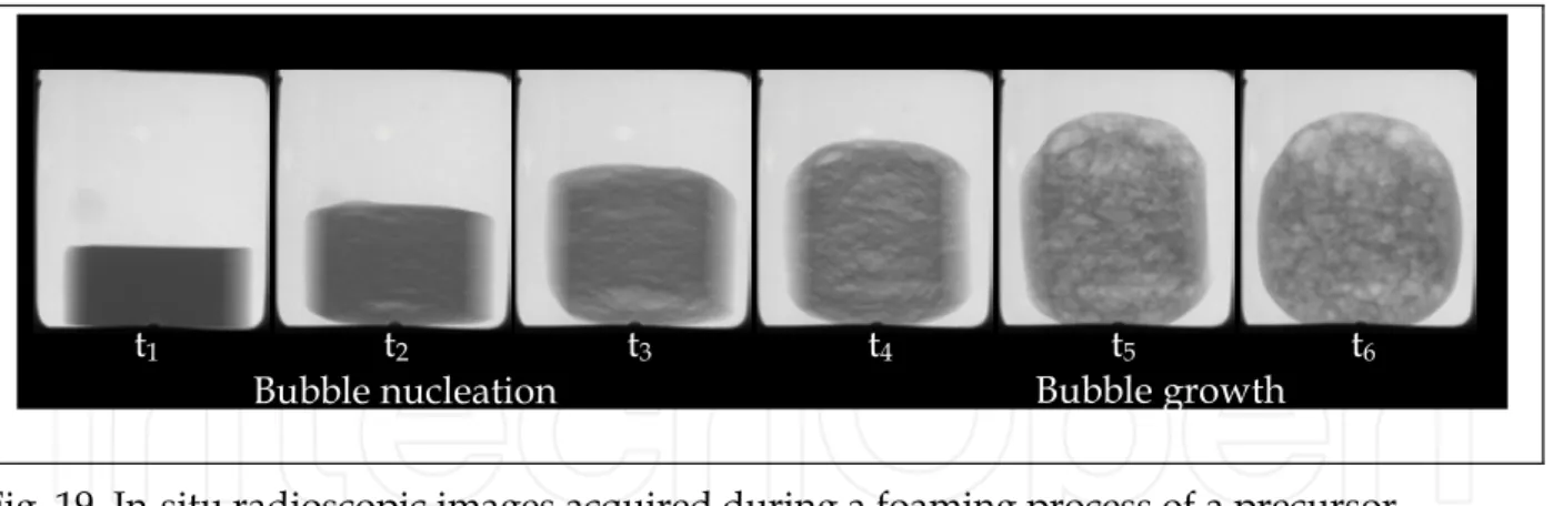 Fig. 19. In-situ radioscopic images acquired during a foaming process of a precursor. 