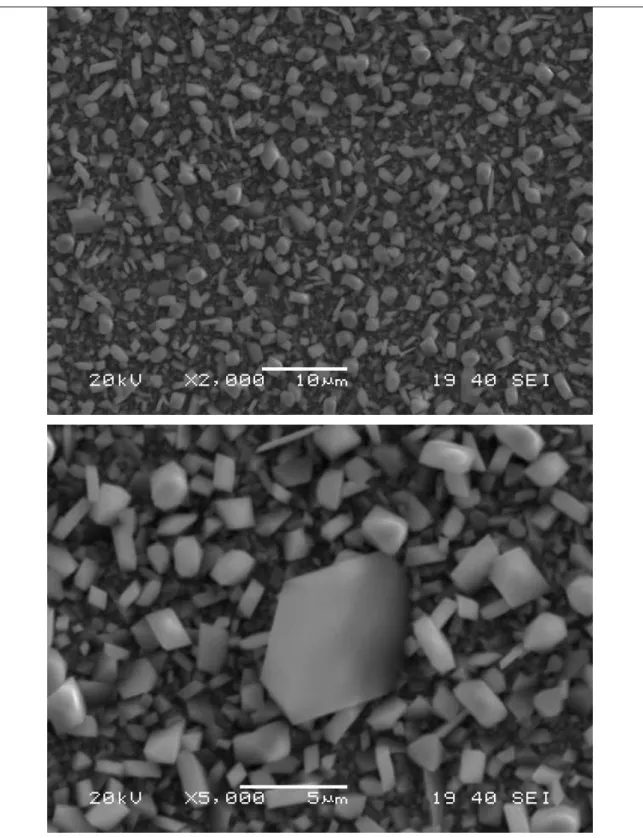 Figura 5.17 – Microestruturas dos filmes de óxidos formados no aço inoxidável   AISI 430A oxidado por 50h, em ar na temperatura de 850ºC