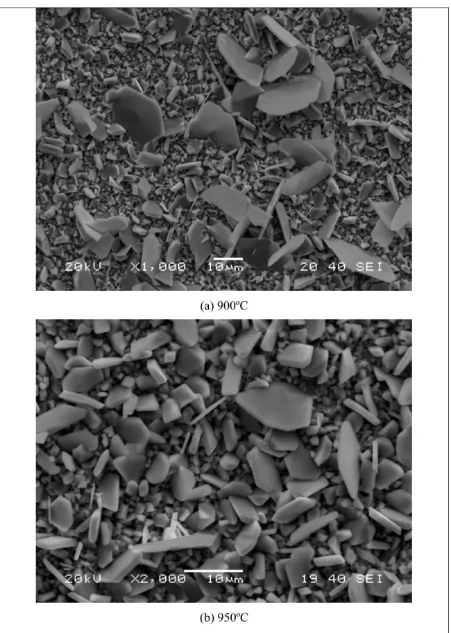 Figura 5.18 – Microestruturas dos filmes de óxidos formados no aço inoxidável   AISI 430A oxidado por 50h, em ar nas temperaturas de (a) 900ºC e (b) 950ºC