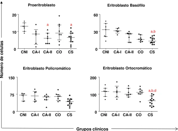 Figura  2:  Perfil  das  células  da  série  eritróide  em  cães  naturalmente  infectados  com  L