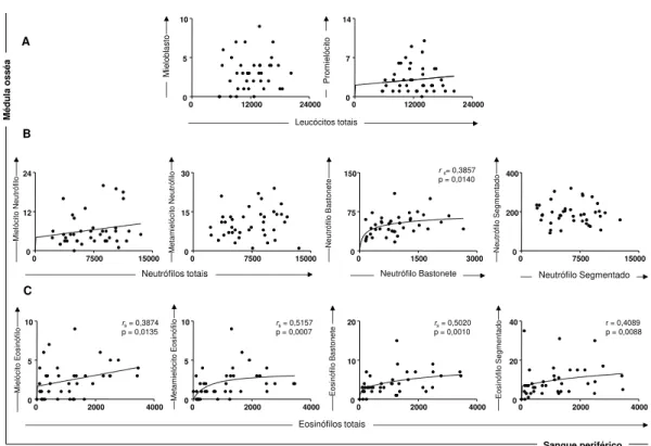 Figura  5:  Correlação  entre  parâmetros  celulares  na  medula  óssea  (células  precursoras  da  linhagem  granulocítica)  e  sangue  periférico  (com  células)
