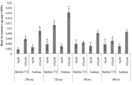 Fig. 2. Al content (µg mg -1  of dry weight ± standard deviation) in roots of ‘Anahuac’ and ‘Barbela 7/72’ plants exposed  to  Al  (185  µM)  during  24  h  and  72  h  and  after  24  h  and  48  h  of  recover