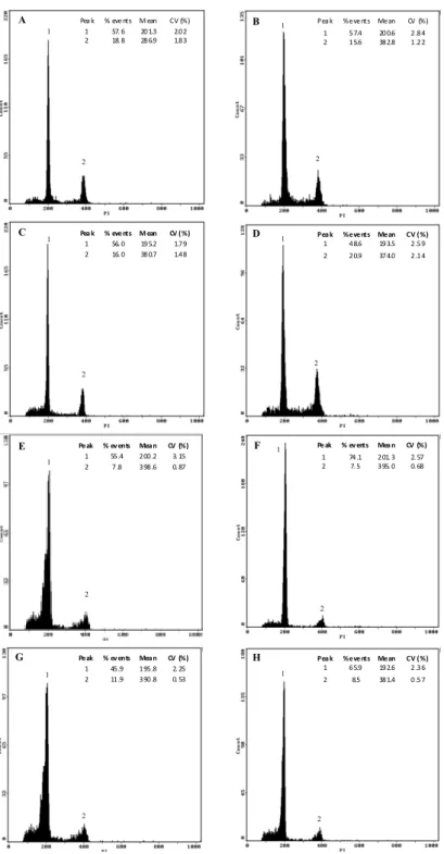 Fig.  5.  Histograms  of  relative  fluorescence  intensity  (FL)  for  ‘Anahuac’  (A,  C,  E,  G)  and  ‘Barbela  7/72’  (B,  D,  F,  H)
