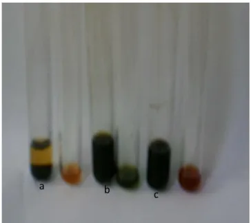 Figura 22: Fotografia do teste confirmatório de taninos, por formação de precipitado escuro; tubo a: 