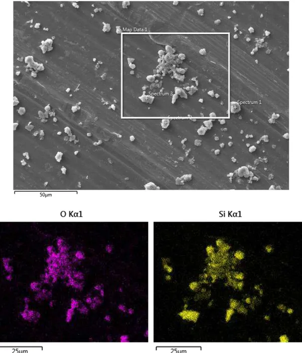 Figura  4.23:  Imagem  obtida  por  MEV  e  EDX  mostrando  o  mapeamento  elementar  de  uma  região  da amostra  do pó de ardósia   
