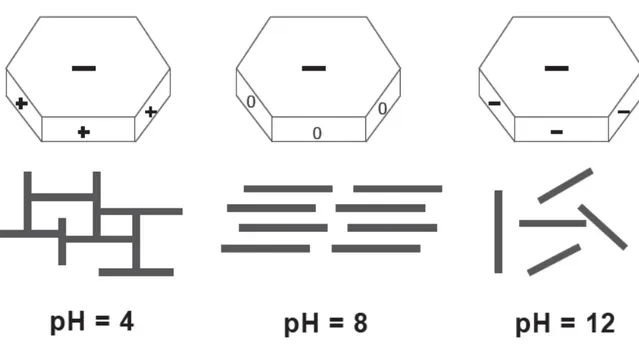 Figura  5.5:  Tipos  de interação  entre  partículas  de argila  para diferentes  pH da suspensão  (Pozzi  e Galassi,  1994)