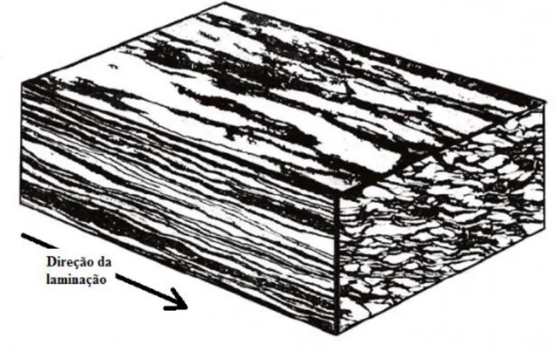 Figura  3.3:    representação  esquemática  da  microestrutura  típica  de  uma  amostra  de  aço  duplex  laminado  a  quente