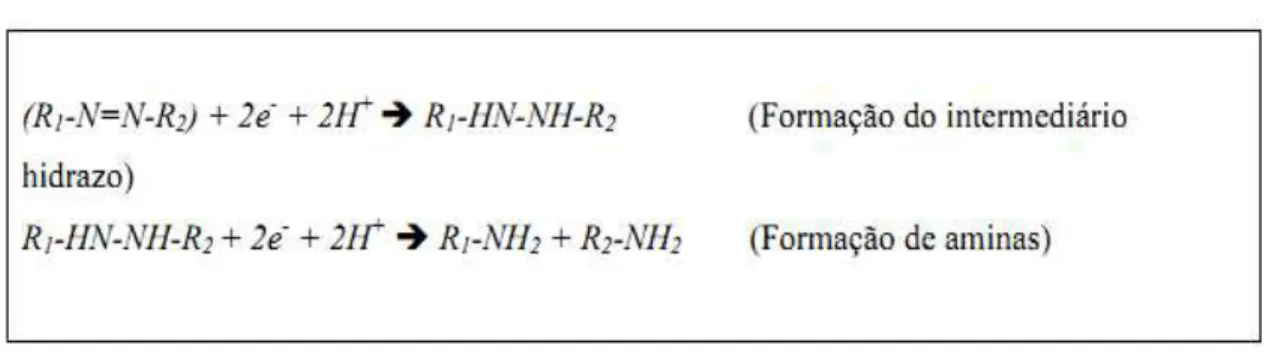 Figura 3.3: Reações químicas da redução do corante azo. Fonte: DOS SANTOS (2005). 