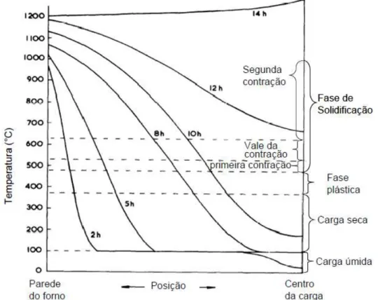 Figura 3.3 – Perfis de temperatura da carga enfornada em função da posição em  diversos momentos da coqueificação