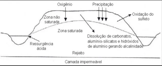 Figura 2-4 - Processo de formação de drenagem ácida de mina em pilha de rejeito. Fonte: 