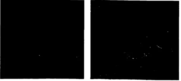 Figura 4.2: À esquerda a imagem de referência (1995) e à direita a imagein a ser nigisl radíi  (1999)