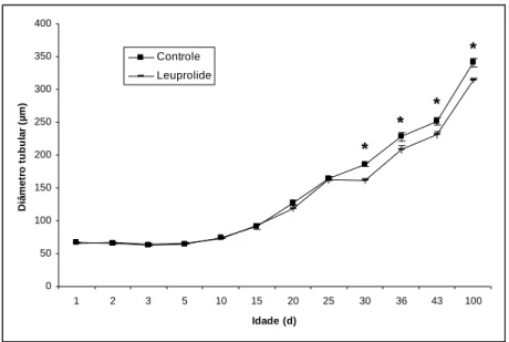 Figura 3  Diâmetro de túbulos seminíferos em ratos controles e tratados com  leuprolide, em diferentes idades após o nascimento (média   erro padrão)