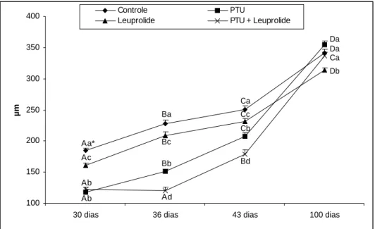 Figura  11.  Diâmetro  tubular  (µm)  de  ratos  controles  e  tratados  no  período  neonatal  com  PTU, leuprolide e PTU + leuprolide, e avaliados em diferentes idades