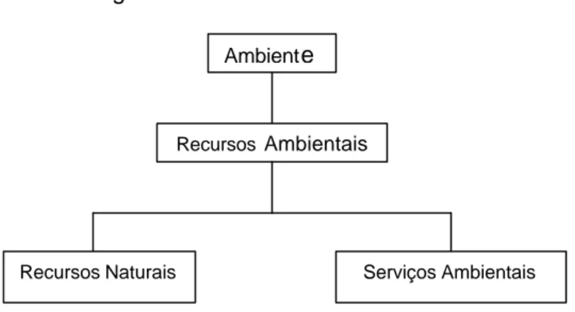 Figura 2.1 – Conceito de Ambiente 