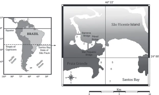 Fig. 1 -  Map of study area indicating locations 1-4 in the São Vicente Estuary, and 5-8 in the Santos Bay, São Paulo, Brazil.
